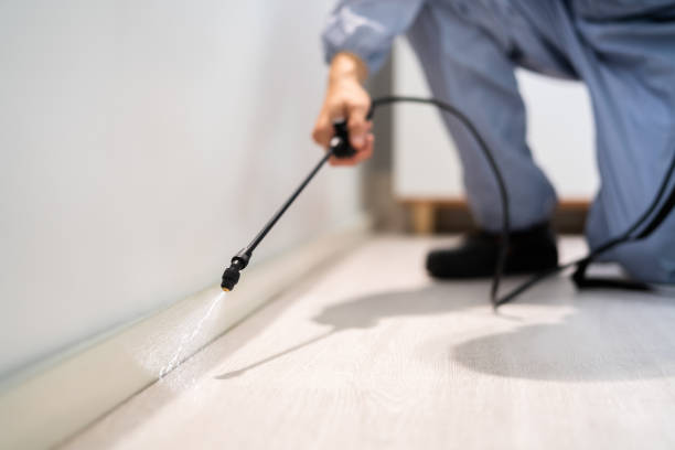 Licensed Wasp Control service in Middleburg Heights, OH - Nex Pest Control