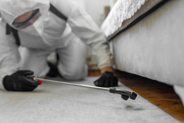 Professional Wasp Control technician working in Middleburg Heights, OH