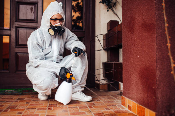 Reliable Bed Bug Control contractor in Middleburg Heights, OH by Nex Pest Control